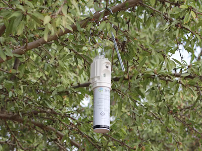 Pheromone aerosol dispensers