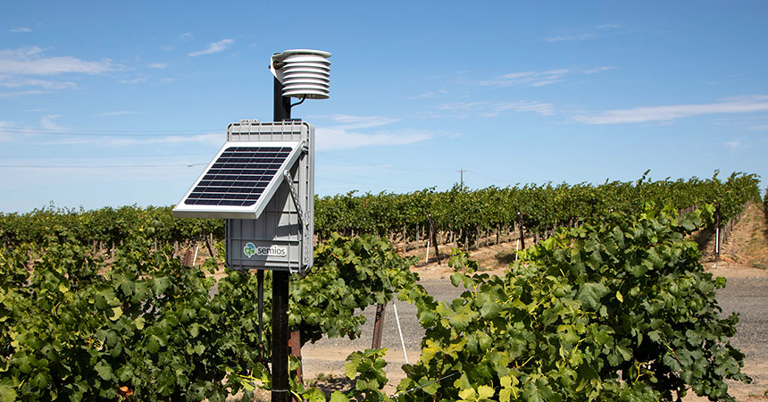 In-canopy weather stations