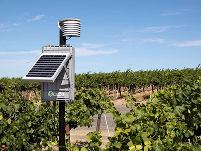 In-canopy weather stations