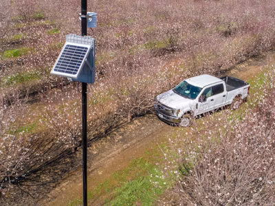 In-canopy wireless network