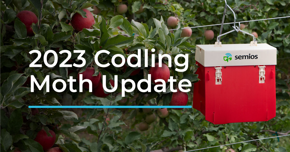 2023 Codling Moth Pressure Report: A Comparative Analysis