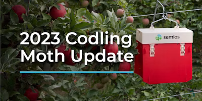2023 Codling Moth Pressure Report: A Comparative Analysis