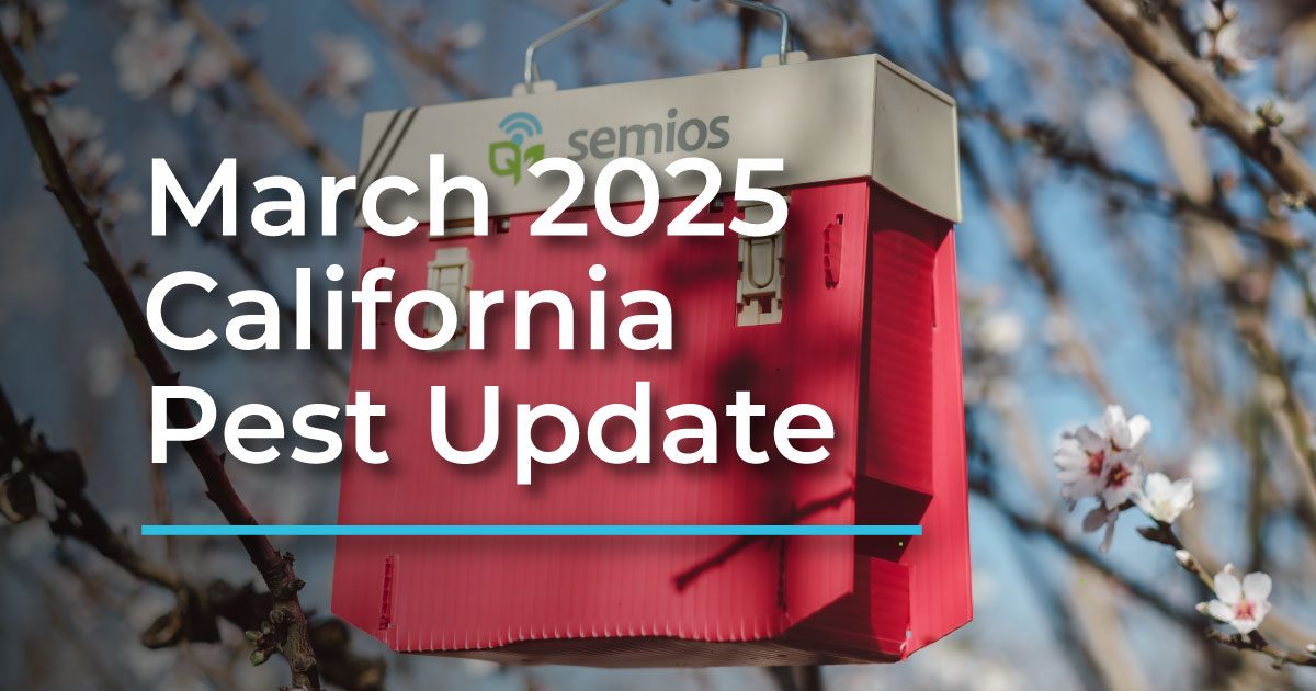 March 2025 California Pest Update