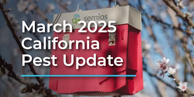 March 2025 California Pest Update