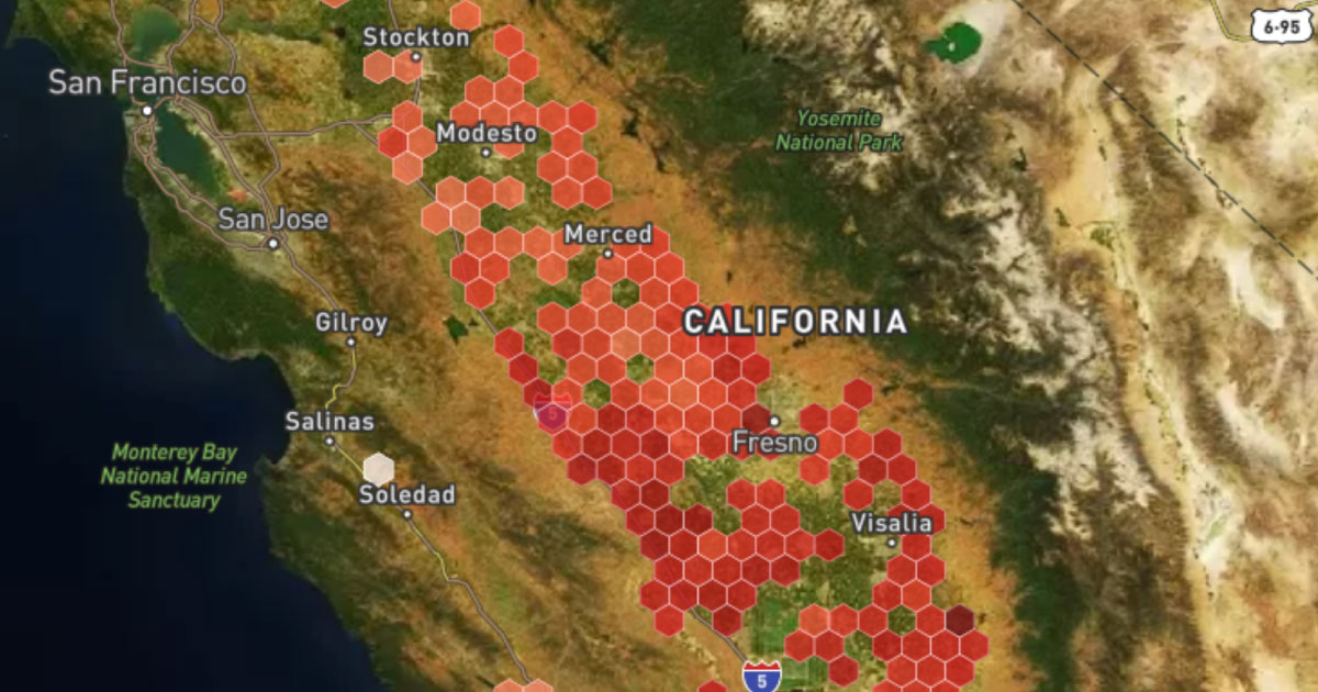 California Red Scale Update - August 2026