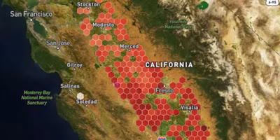 California Red Scale Update - August 2026