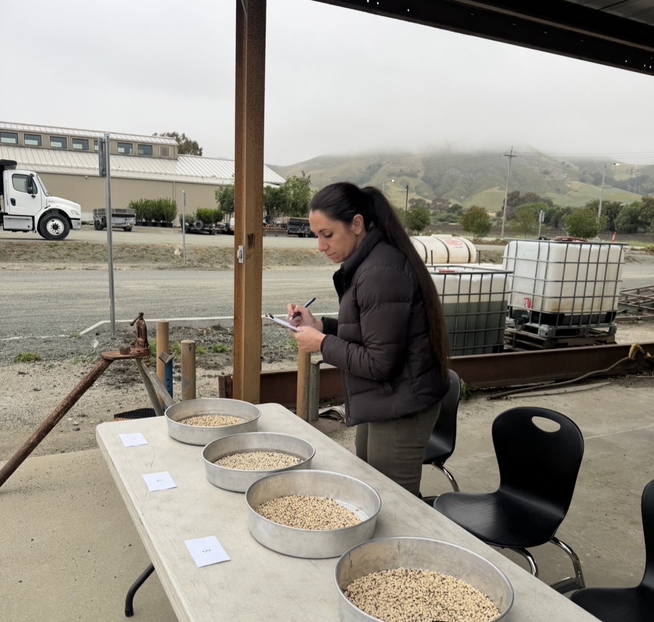 Ashlee judging a class of black eyed beans