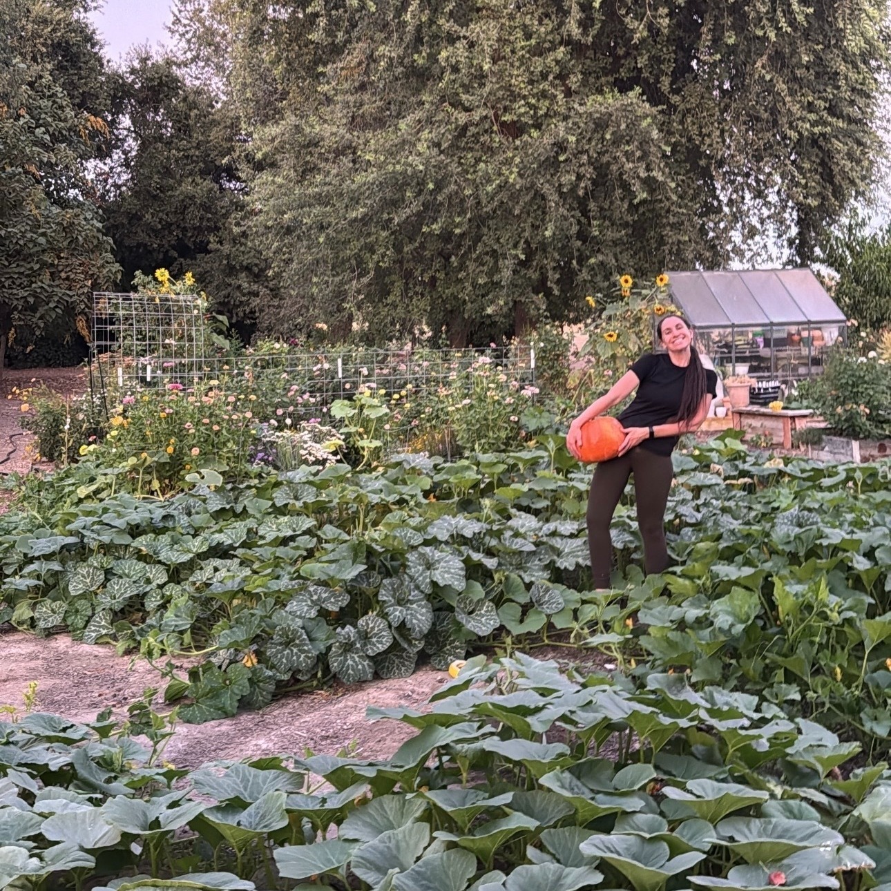 Ashlee holding a pumpkin in a garden