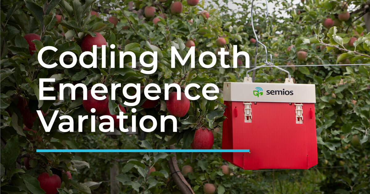 Regional Codling Moth Emergence Patterns - Spring 2021