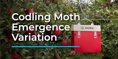 Regional Codling Moth Emergence Patterns - Spring 2021