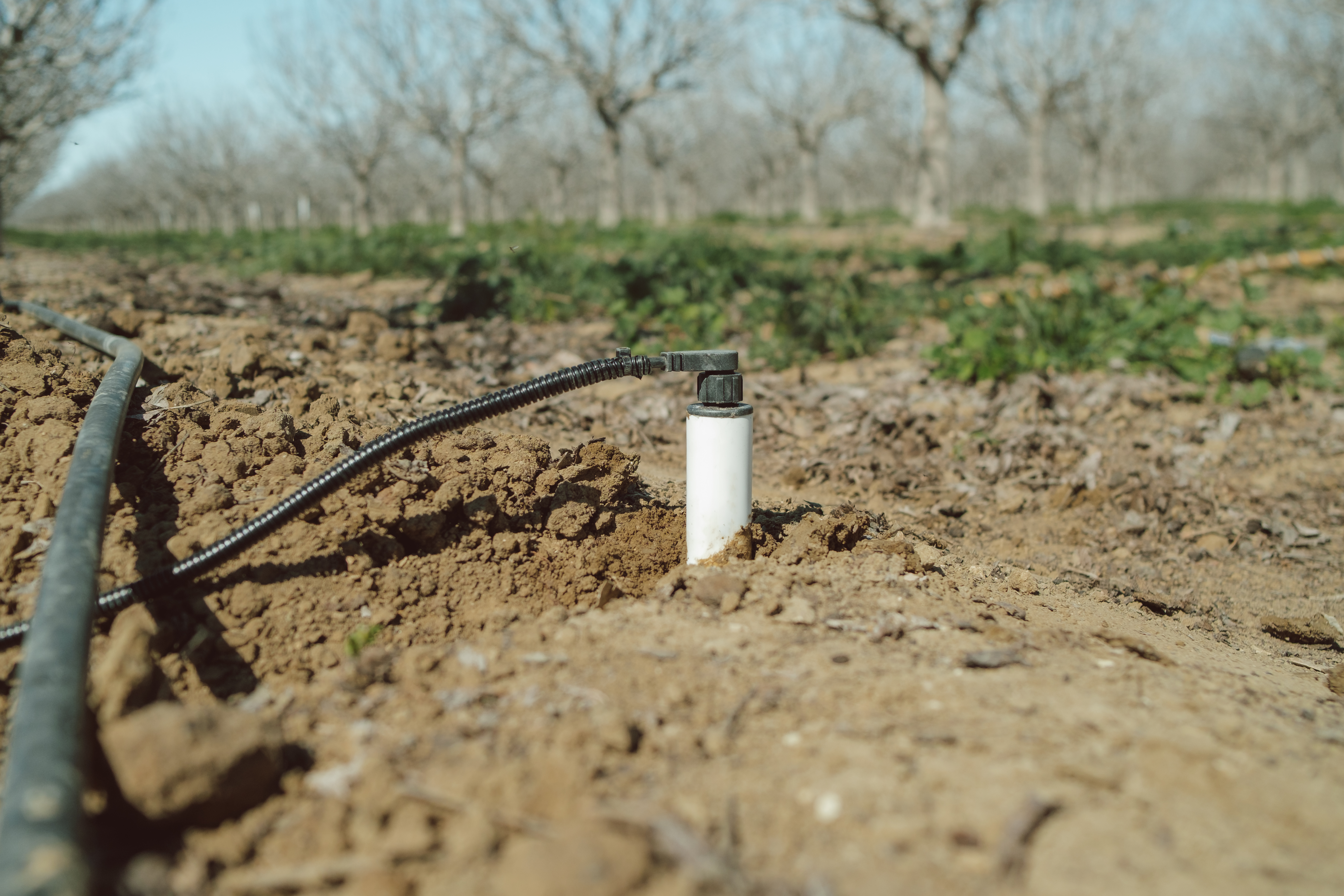 Soil moisture probe in the ground