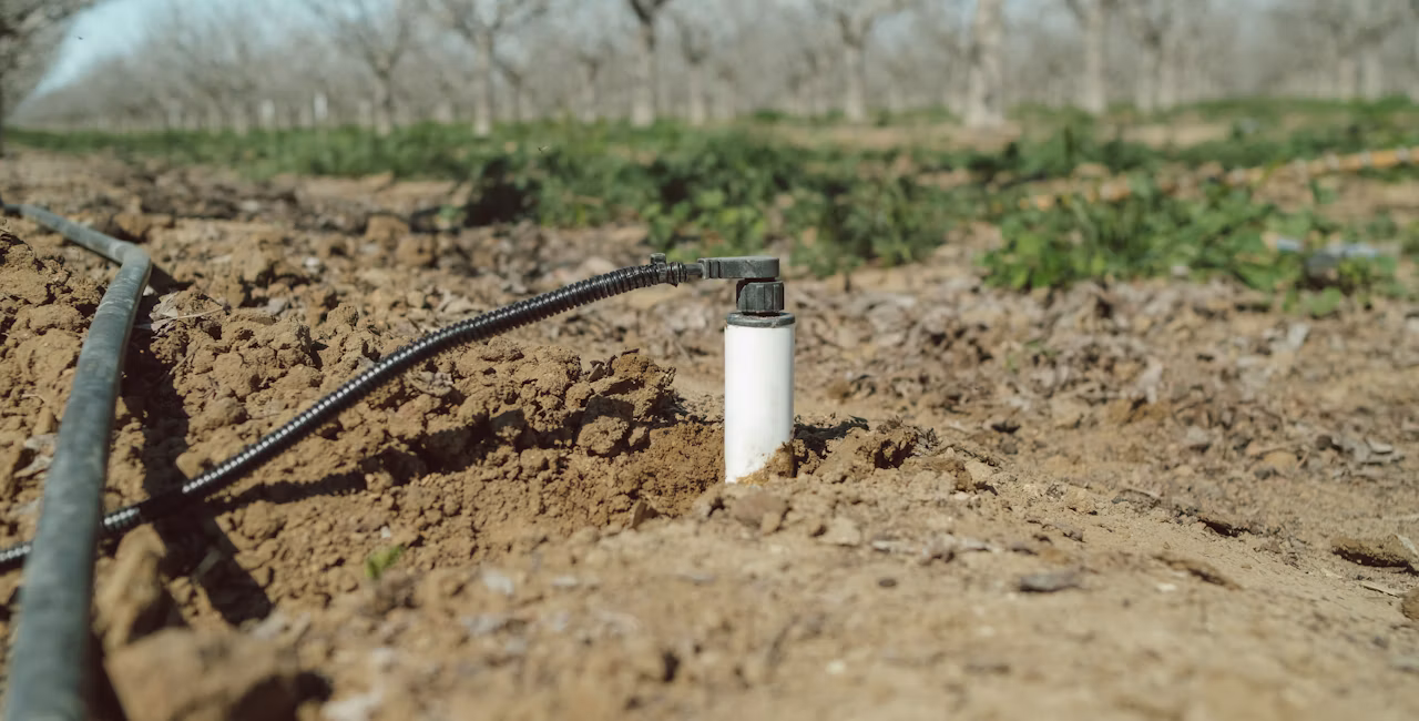 Soil moisture probe in the ground