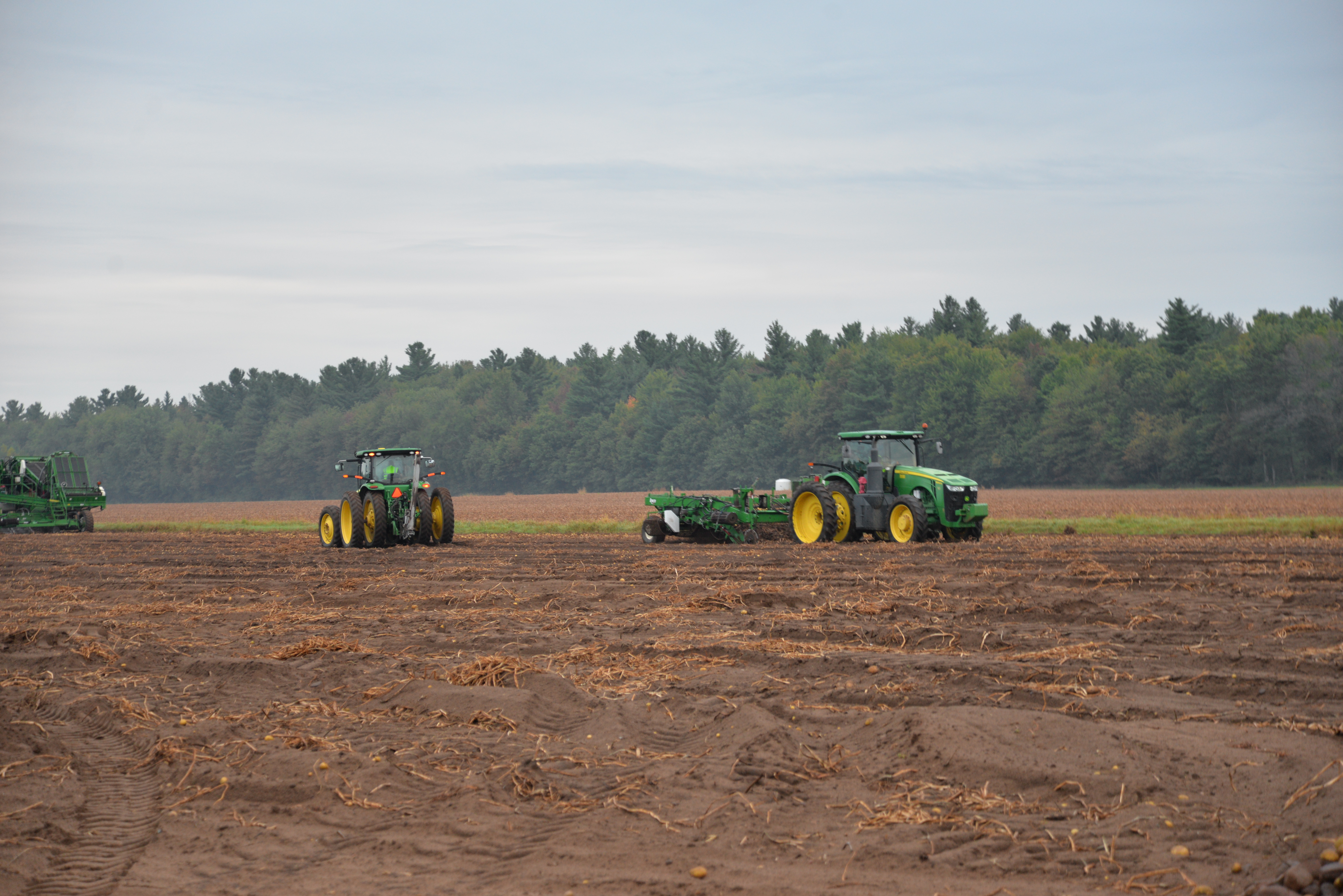 Tractors in the field