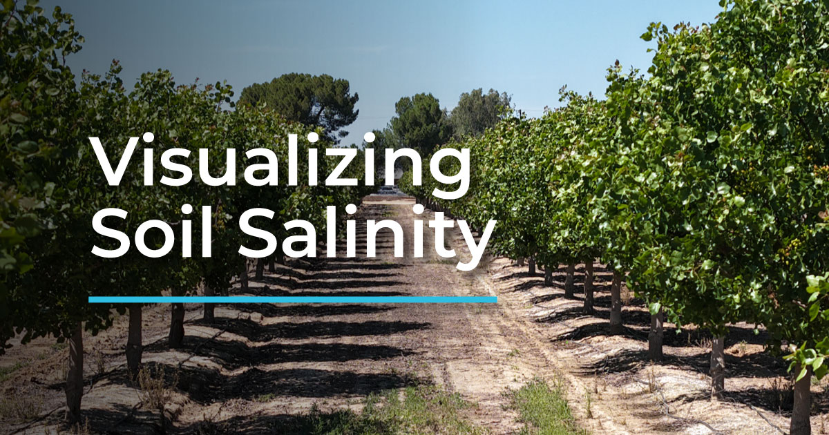 Salt Map: A simpler way to understand and manage soil salinity
