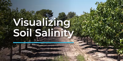 Salt Map: A simpler way to understand and manage soil salinity