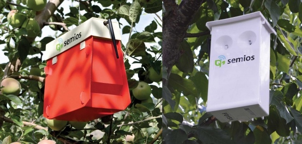 Remote Pest Management With Automated Traps