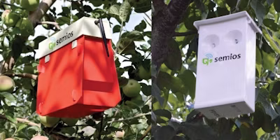 Remote Pest Management With Automated Traps