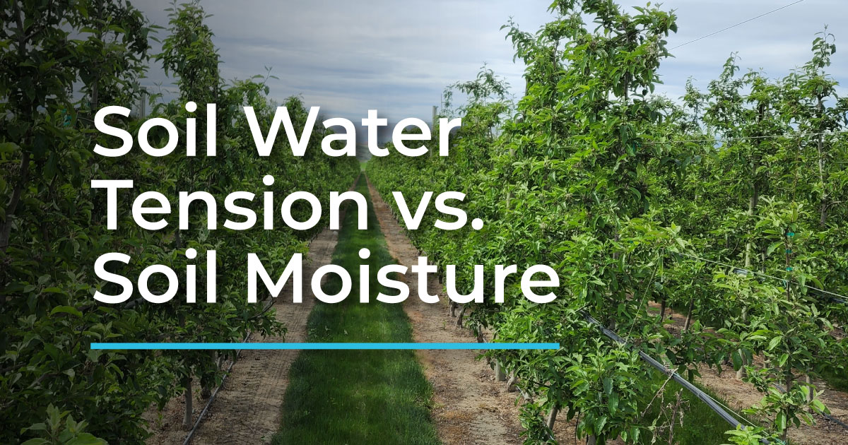 Soil water tension vs. soil moisture: What's the difference and why it matters