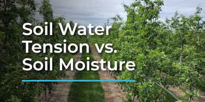 Soil water tension vs. soil moisture: What's the difference and why it matters
