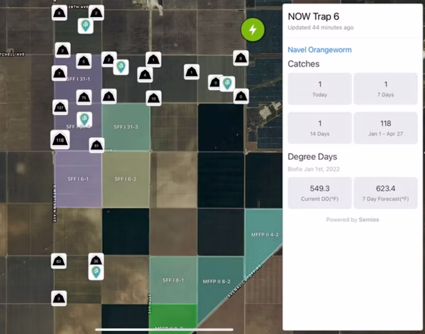 Map in Agworld app showing Semios trap count data