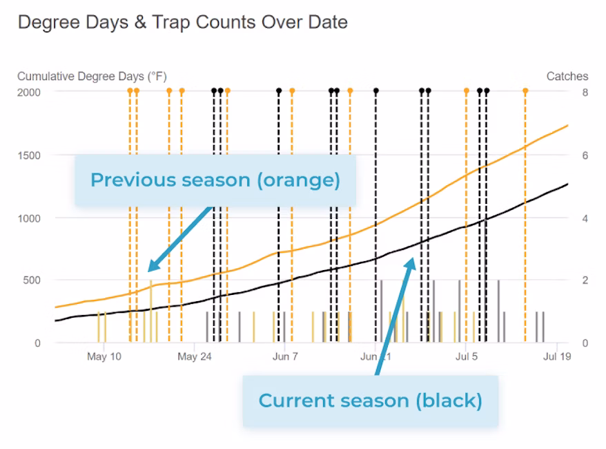 A graph showing cumulative degree days, trap catch counts, and spray application timings by date across two seasons.