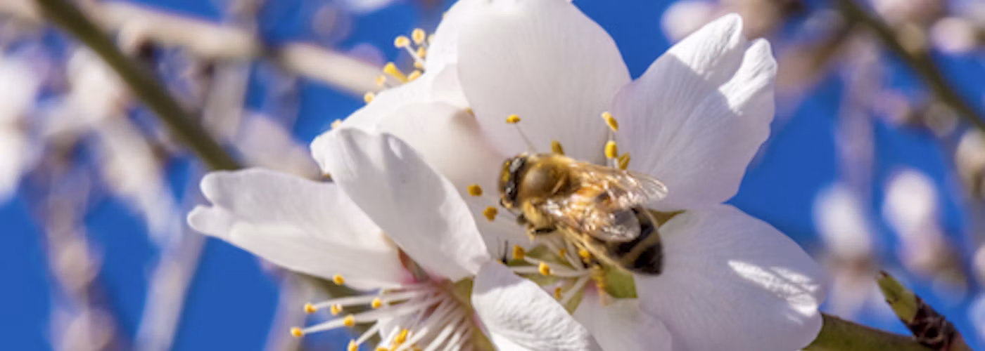 Agworld