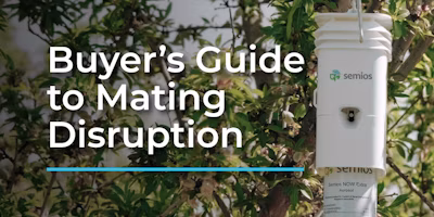 Things to Consider When You Buy Mating Disruption