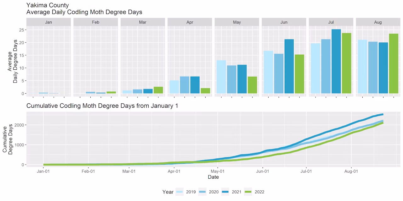 Graphs showing the average daily degree days and cumulative degree days in Yakima County for the past four years.