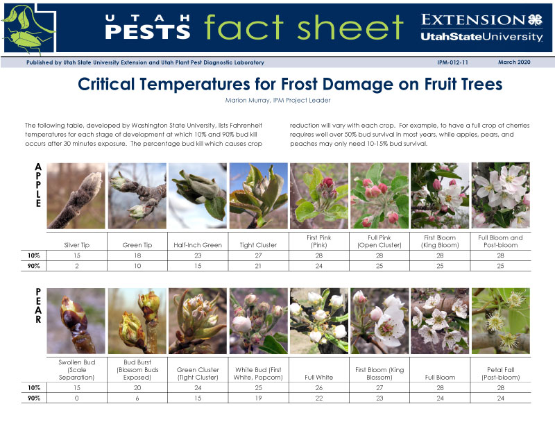 Chart of critical temperatures for frost damage on apple and pear trees