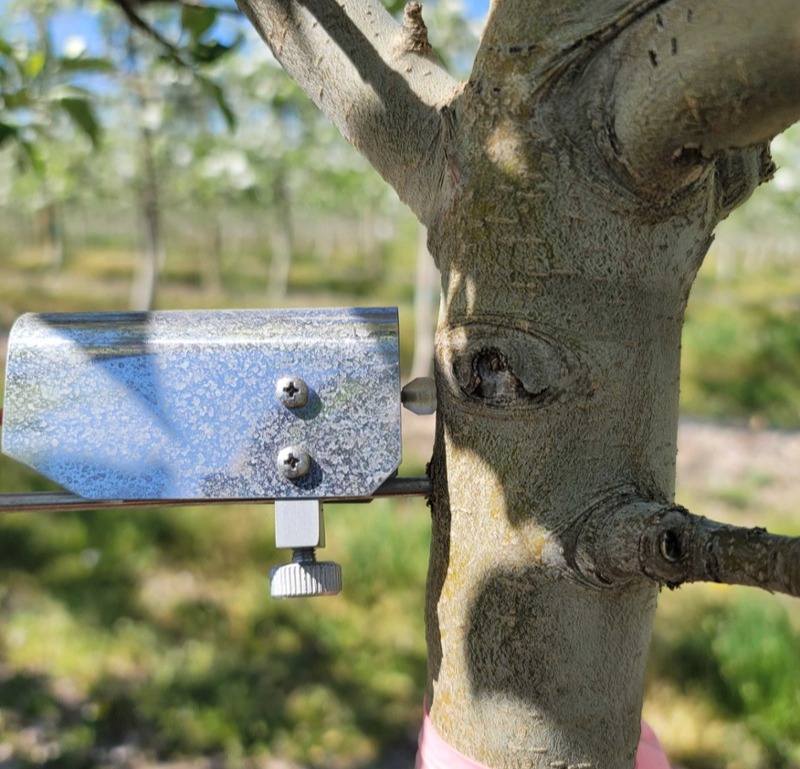 Improving Dendrometers With The Semios Water Stress Index