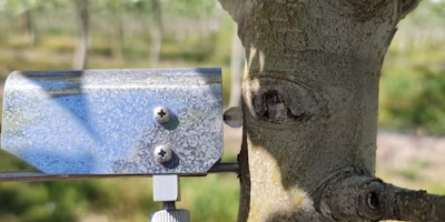 Improving Dendrometers With The Semios Water Stress Index