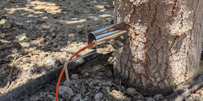 Dendrometers, Explained