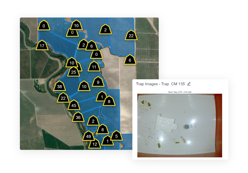 Map of automated camera traps installed at a farm, showing total trap counts and an example of a codling moth trap image