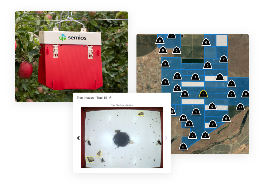A view of the Semios trap catch dashboard containing a map of trap counts and a trap image from an automated camera trap