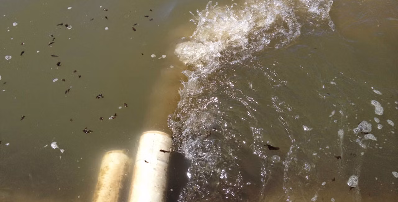 Dirty water coming from a filter backflush