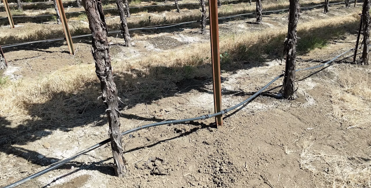Irrigation Line