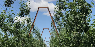 The Benefits of In-Canopy Weather Stations in Washington