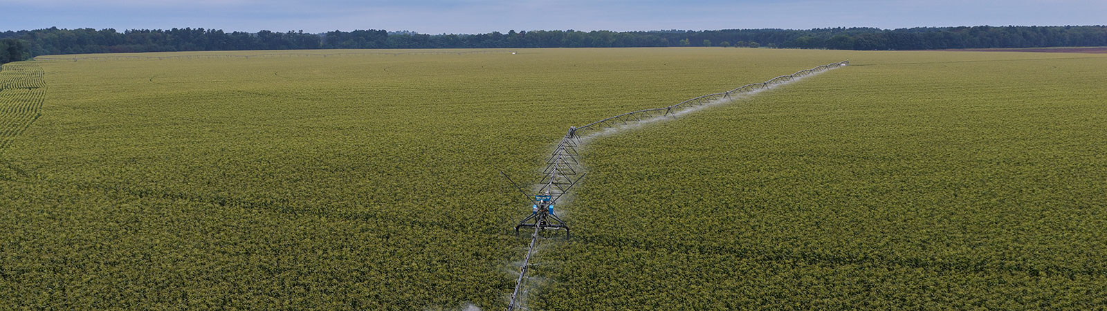 What's New in Irrigation: May Feature Updates