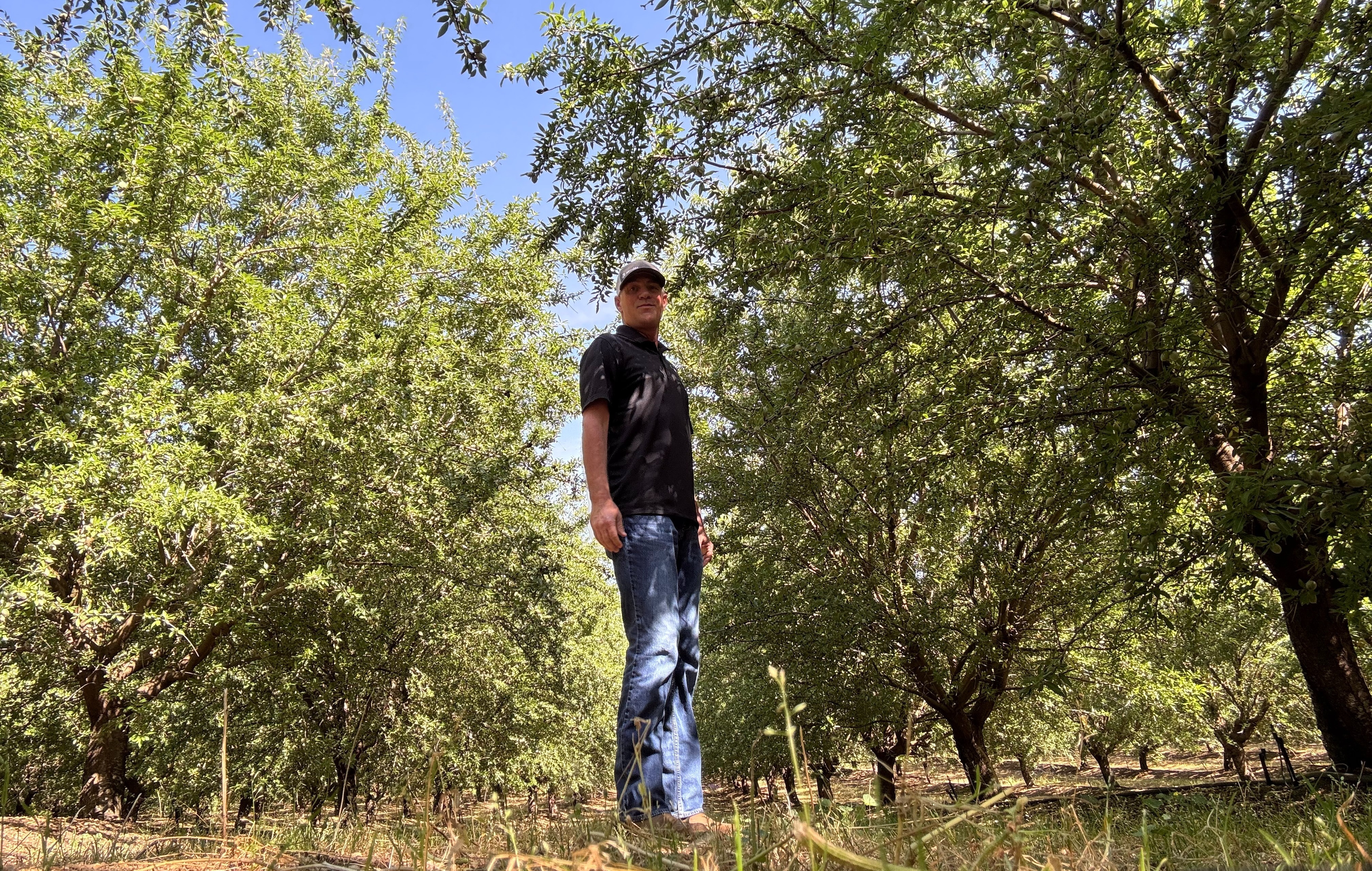 Faces of Semios: Jeff Thorning