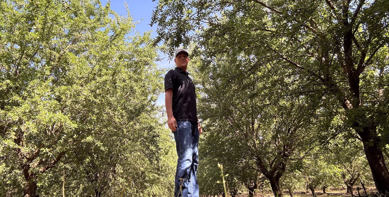 Jeff Thorning standing in an orchard