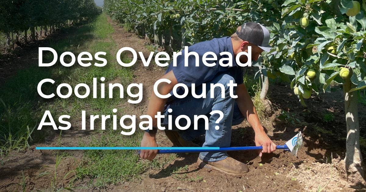 Maximizing Water Efficiency: Differentiating Cooling Strategies from Irrigation Methods