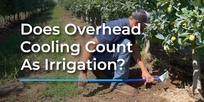Maximizing Water Efficiency: Differentiating Cooling Strategies from Irrigation Methods
