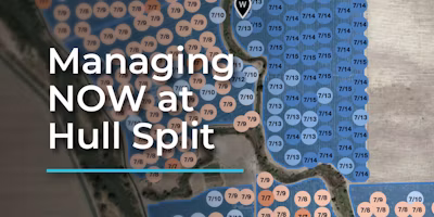 Navel Orangeworm Management at Hull Split