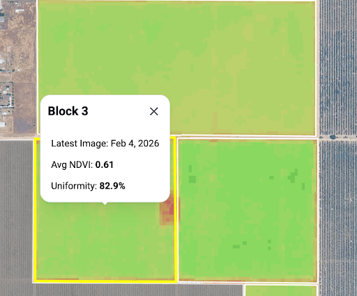 Screenshot from the Semios app, showing a green block with latest image date, average NDVI, and uniformity values