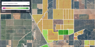 How NDVI helps you monitor crops