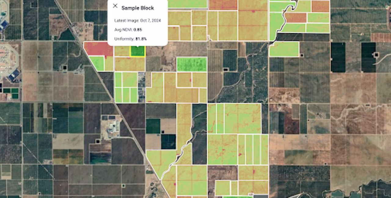 A screenshot showing the NDVI feature on Semios