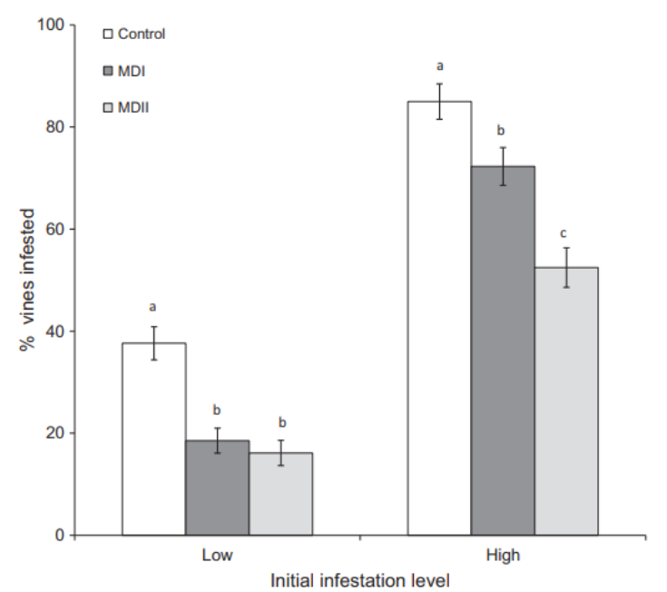 Northern Israel VMB Study