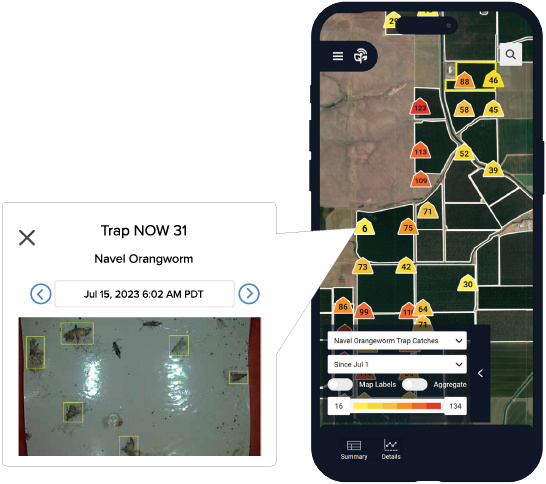 Screenshot of the trap catch page on the Semios mobile app