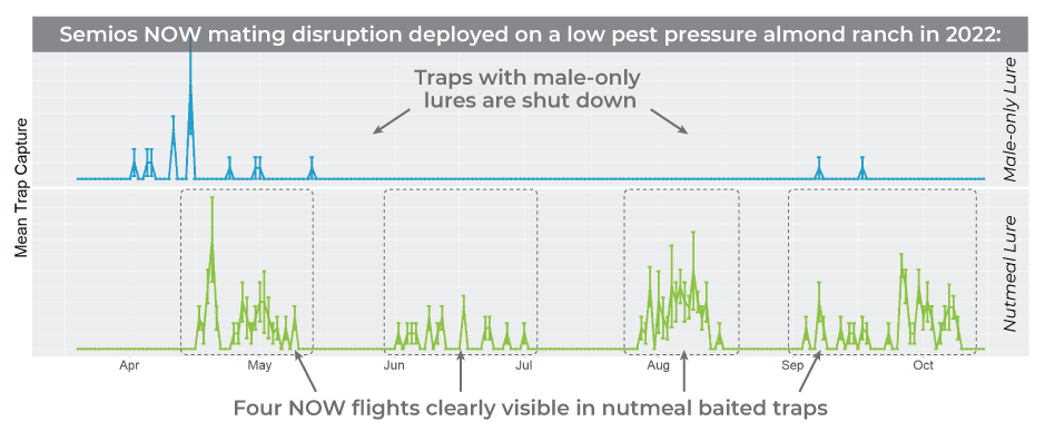 Graph showing trap catches on a property with nutmeal baited traps (NOW flights are still visible) vs male-only lure traps (traps are shut down)
