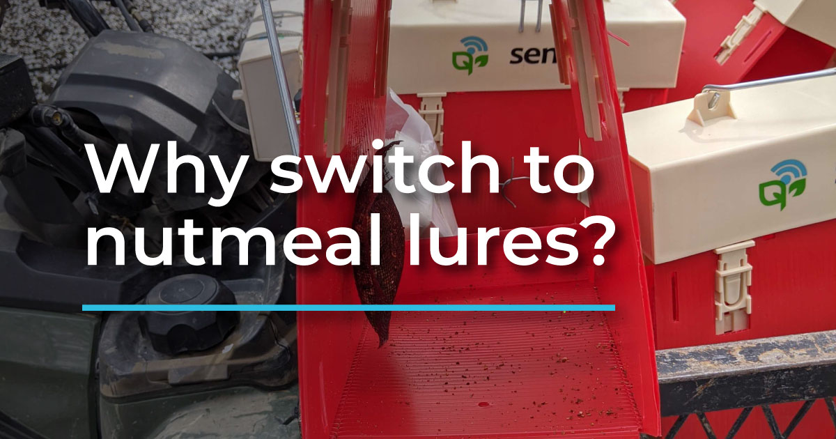 We're switching to nutmeal lures for navel orangeworm traps. Here's why.